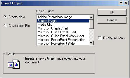 Select Bitmap Image in the Insert Object Dialogue Box and Click OK