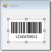 Custom Barcode Windows Forms Control C# .NET