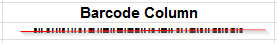 The barcode strip scanned from Excel.