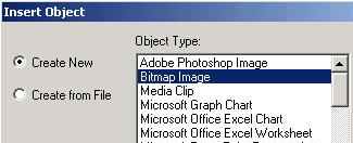 Bitmap Image
