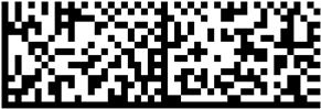 Data Matrix encoding 78 characters in rectangular format 29