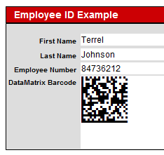 DataMatrix Badge Example