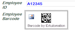 Create DataMatrix Barcodes in InfoPath