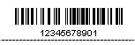 Barcode result on the FileMaker Report.