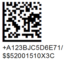 HIBC | HIBCC Unique Device Identification (UDI) Data Matrix Example HIBC | HIBCC Unique Device Identification (UDI) Data Matrix Example