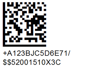 HIBC | HIBCC Unique Device Identification (UDI) Data Matrix Example