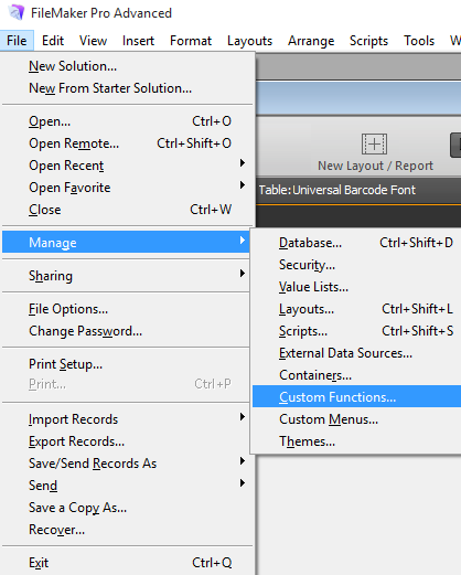 Choosing File - Manage Custom Functions.