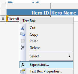 The SSRS Expression