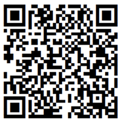 TLV values are encoded directly in QR Code with UTF 8. The direct encoding without Base64 generates a small symbol.