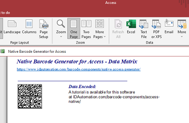 Data Matrix barcode image in Microsoft Access.