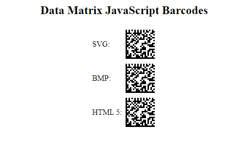 Data Matrix barcode in a JavaScript environment.