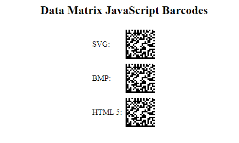 Windows 8 JavaScript Data Matrix Generator full