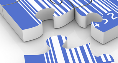 Custom Development and Consulting Services