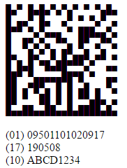 GS1 Data Matrix ECC200 Example